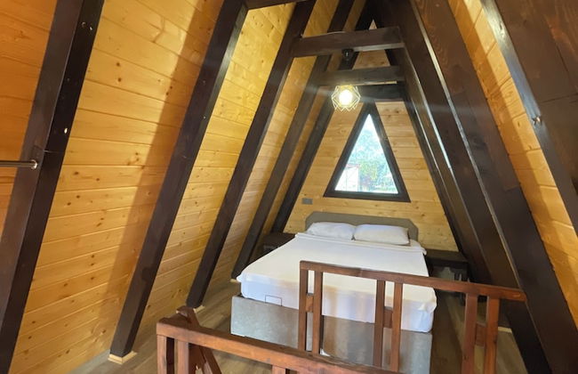 Olive Garden - Foto 4