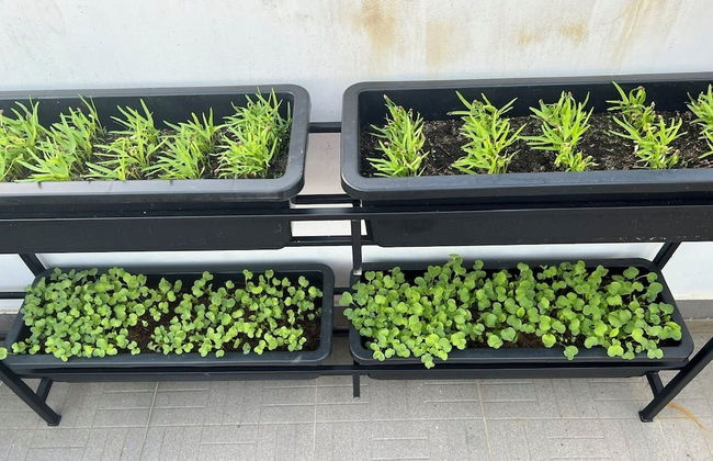 Cat Tien Villa Hoi An - Foto 54