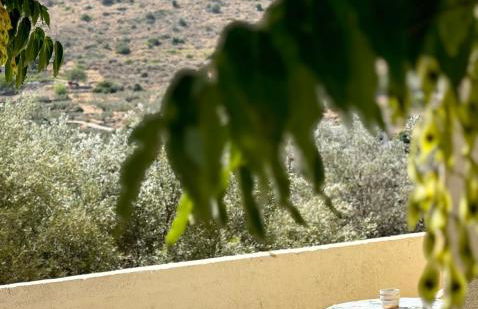 Kontos Village House - Foto 14