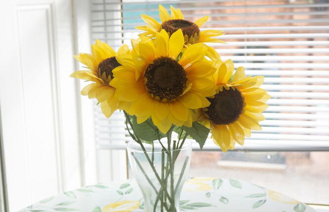 Sandgate 2-bed Apartment in Ayr Central Location - Foto 19