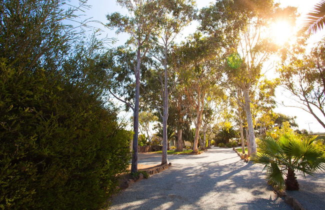 Modra's Apartments - Photo 35