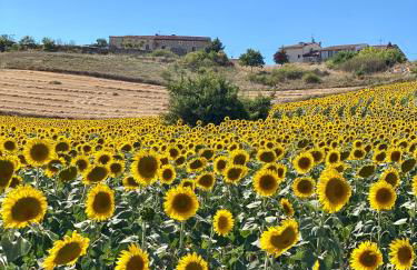 Fresno Vista - Photo 37