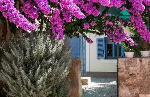 Apartments Relax - Foto 22