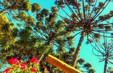 Sopro da Serra Chalés - Foto 76