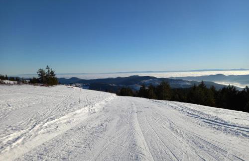 Maison proche du centre de Colmar - Chez Michel - Foto 21