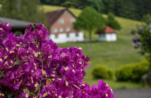 Schreinerhäusle nähe Titisee - Foto 60