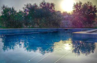 NEW 2023 Villa Tree of Life - Photo 68