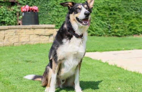 Howard Cottage - Foto 49