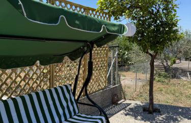 Panorama Studio - Foto 9