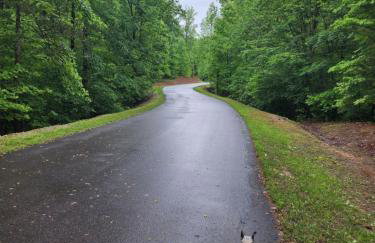 Wilderness retreat - Foto 17