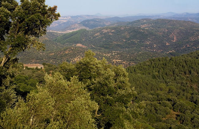 Finca La Fronda - Foto 20