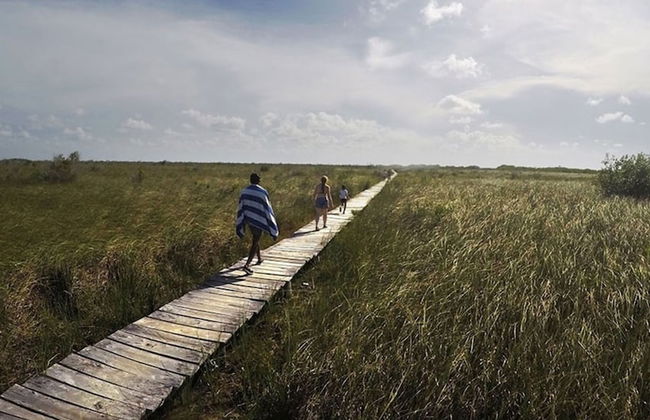 Beautiful Jungle Loft With Rooftop Pool and Gym - Photo 46