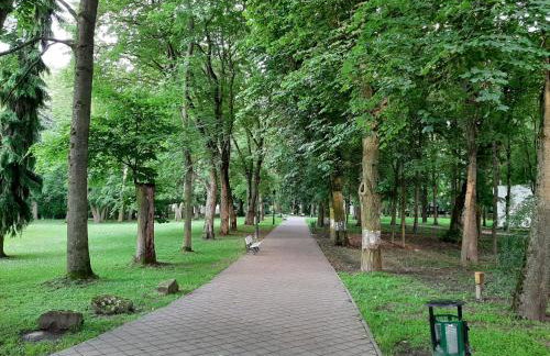 Green Ravine - Foto 22