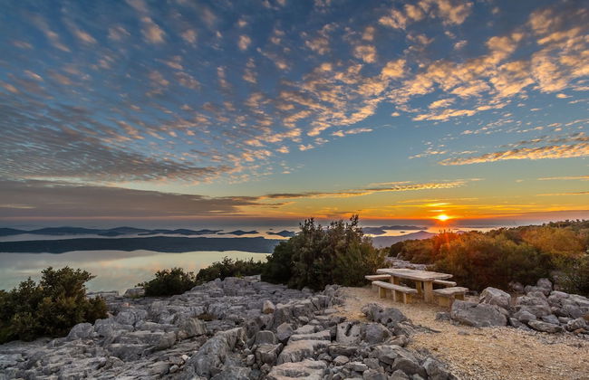 House Villa Ivona - Foto 41