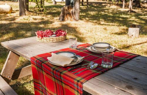 Yosemite+5BR+Views+Hot Tub+Pets - Foto 53