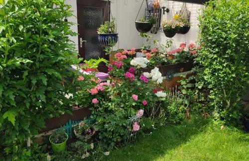 Schöne 3 Zi. Ferienwohnung vor den Toren Frankfurt - Photo 38