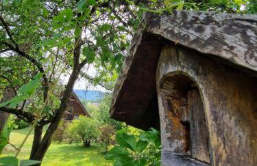 Garden Apartament Kurnik - Foto 10