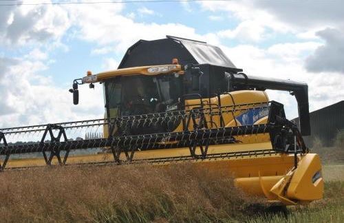 Elms Farm - Photo 35