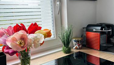 Deluxe Apartement mit Terrasse - Foto 4