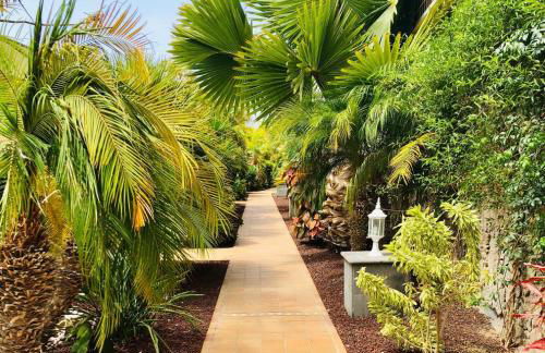 Holiday Club Playa Amadores - Foto 16