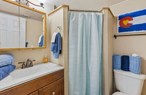 Pet Friendly 2 King Beds AF Academy Sleeps 12 - Foto 19