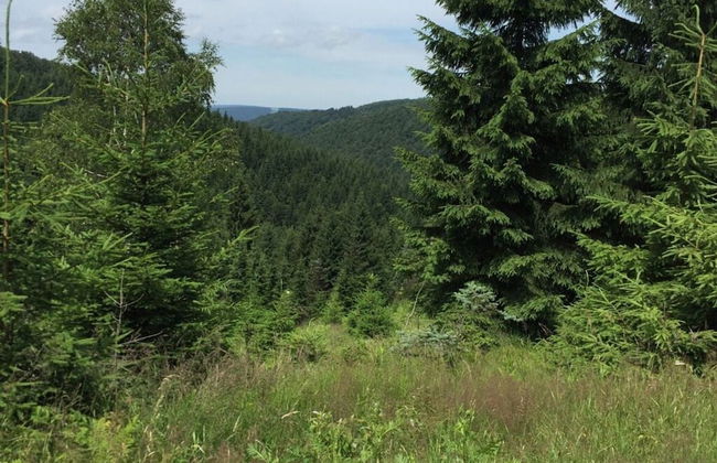 Yellow House Modern Retreat - Foto 20