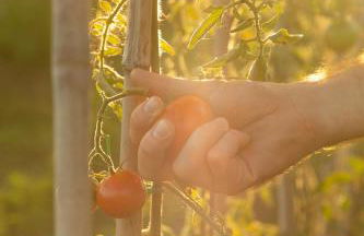 Agriturismo Le Forre del Treja (La Villa) - Foto 48