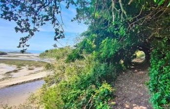 Cap sur le Guillec - Foto 32