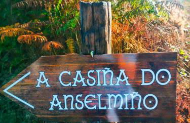 A Casiña do Anselmiño - Foto 28