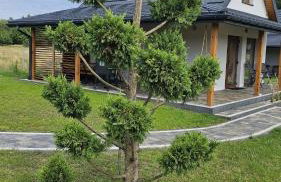 Domki Pod Sosnami Stare Kiejkuty - Foto 6