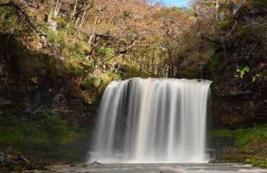 Afan Forest House - Private doubles or Twin options! - Foto 25