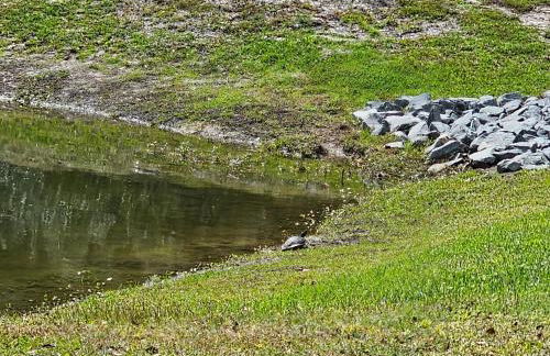 Cozy Corner - Family Beach Vacation Condo - Foto 44