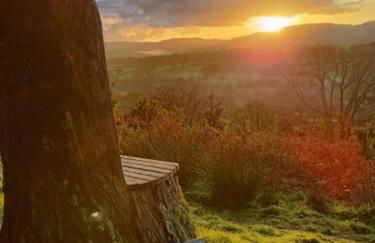 Canad Adar - Song of the Birds - Teifi Valley - Foto 45