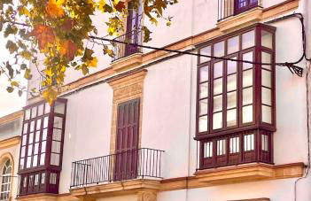 El Buen Porvenir Casa Palacio en Jerez - Foto 49