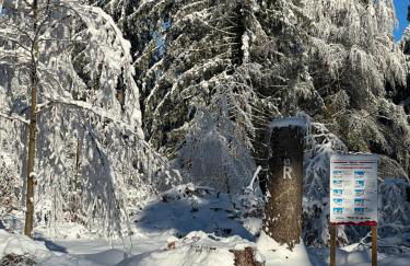 Berggasthof Heuberghaus, direkt am Rennsteig - Foto 18