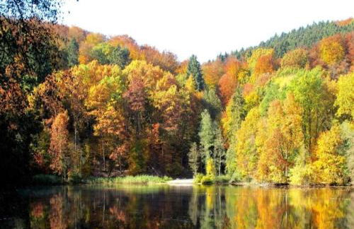 Bungalow im Feriendorf Uslar mit Gartenterrasse - Photo 56