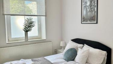 Komfortowy apartament z tarasem w pobliżu jeziora i Gór Sowich - Foto 3, towels