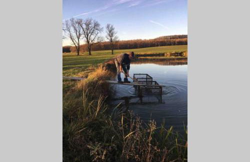 Irenes Tinyhouse - Foto 38