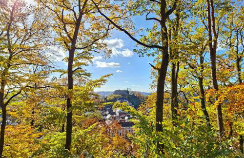 Ferienwohnung Luise unterhalb der Burg Lindenfels - Foto 3