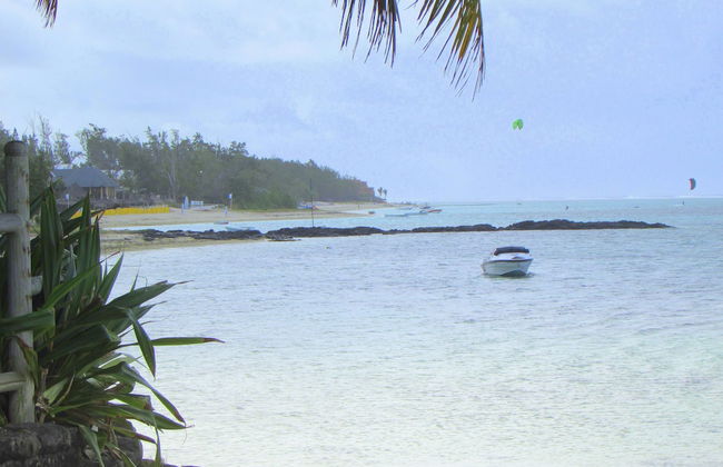 Golden Rod Villa - Foto 34