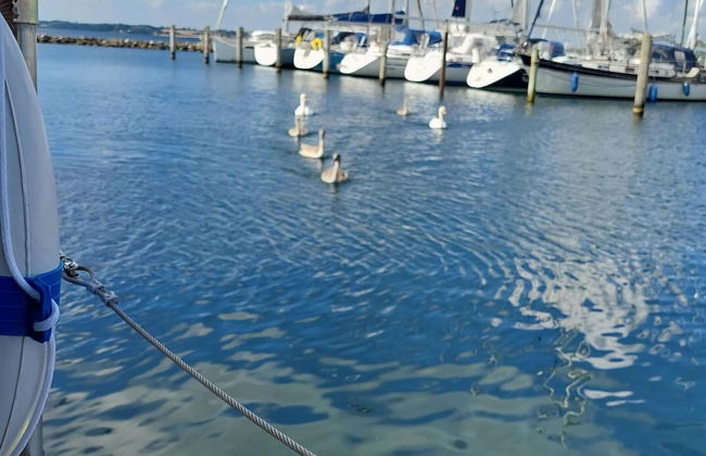 Houseboat Hecht in Egernsund at the Marina Minde - Foto 25