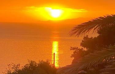 El Paraíso - Foto 14