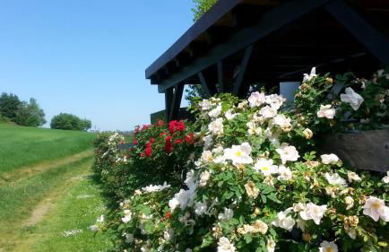 Fewo an der Teufelskanzel - Foto 28
