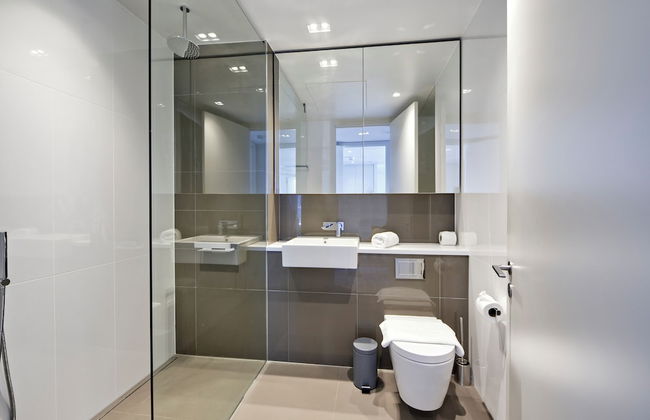 1 Newfoundland - Foto 75