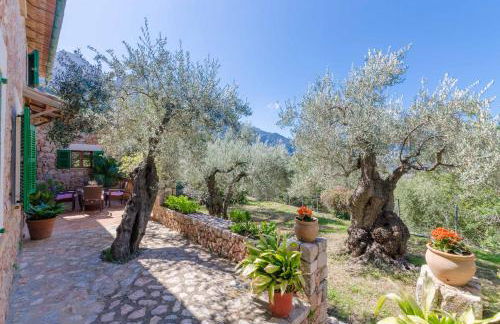 S'Olivaret - Foto 42