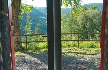 O Salgueiral - Foto 22