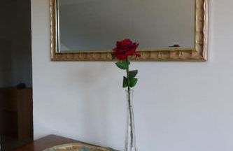 Bushof - Leben auf dem Land - Foto 22