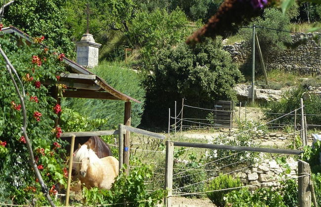 Cozy Vacation House With Pool, Vernegues - Foto 26