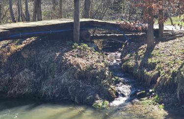 Bieszczadzki Domek przy Potoku - Foto 25