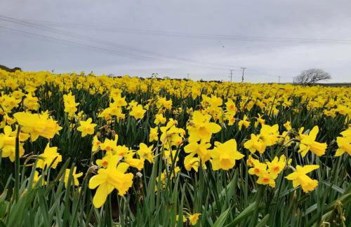 Cosy country getaway, 5 mins from the sea - Photo 20